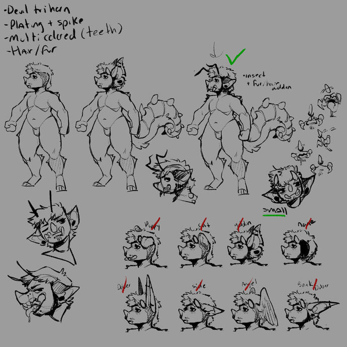 Closed species myo concepts